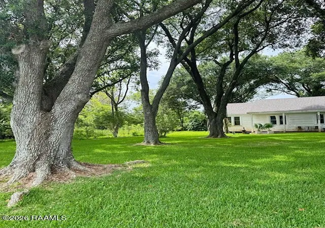 Homes for sale in Kaplan, LA | 24337 Chestnut Rd, Kaplan, LA 70548 | MLS# 2600005437