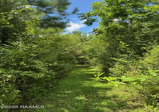 Photo 2 of Land for sale at Tbd Lot 4 Frozard Rd #4, Arnaudville, LA 70512 | MLS# 2600007595 | Listing updated on 2026-08-16