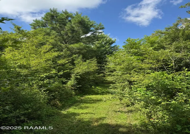 Photo 4 of Land for sale at Tbd Lot 4 Frozard Rd #4, Arnaudville, LA 70512 | MLS# 2600007595 | Listing updated on 2026-08-16