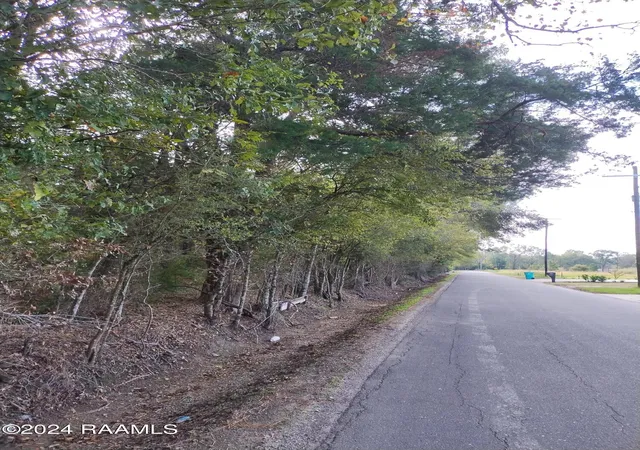 Photo 3 of Land for sale at Tbd Meche Rd, Arnaudville, LA 70512 | MLS# 2600007602 | Listing updated on 2026-08-17