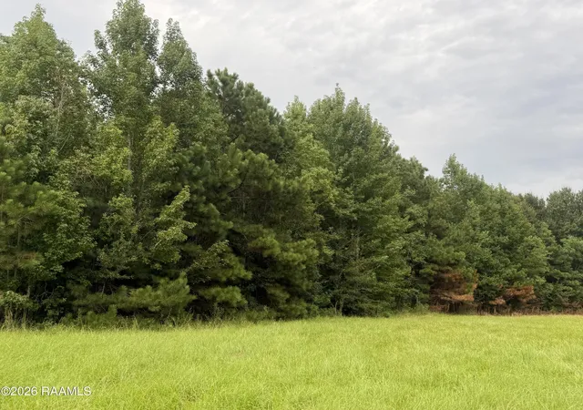 Photo 1 of Land for sale at 210 Bellemin Ln, Sunset, LA 70584 | MLS# 2600007961 | Listing updated on 2026-08-26