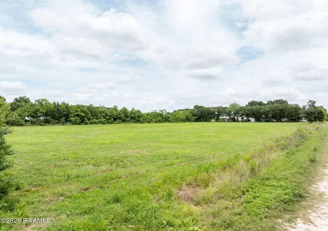 Homes for sale in Rayne, LA | 0 Dubose Rd, Rayne, LA 70578 | MLS# 2600005264