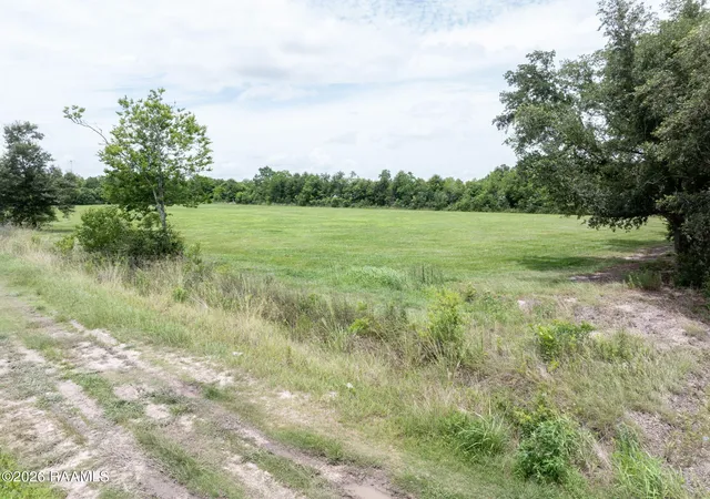 Homes for sale in Rayne, LA | 0 Dubose Rd, Rayne, LA 70578 | MLS# 2600005264