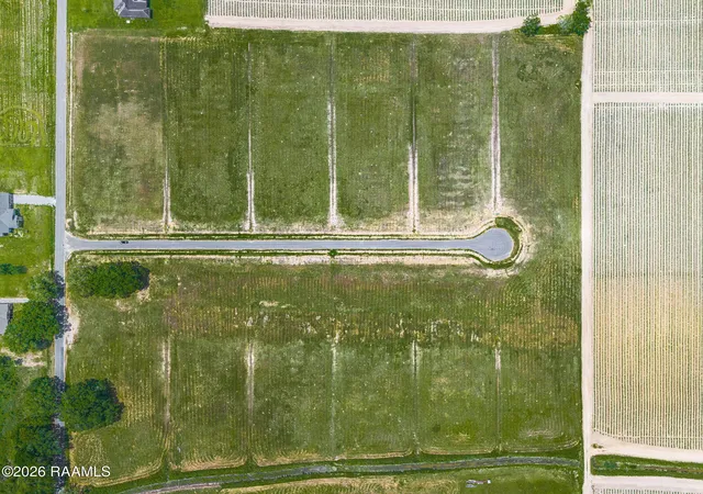 Photo 4 of Land for sale at 3910 Chemin Belle Terre, Maurice, LA 70555 | MLS# 2600002932 | Listing updated on 2026-08-24