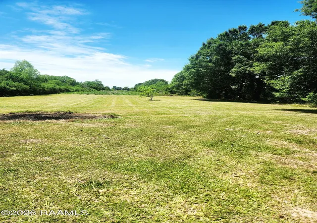 3rd image of 8500 Polk Rd, Abbeville, LA 70510 | MLS# 2600003458