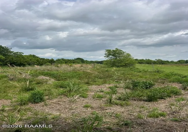 4th image of 8500 Polk Rd, Abbeville, LA 70510 | MLS# 2600003458