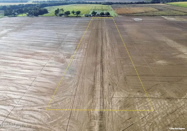 Photo 2 of Land for sale at Tbd Mark Twain Rd, Crowley, LA 70526 | MLS# 2600003862 | Listing updated on 2026-05-01