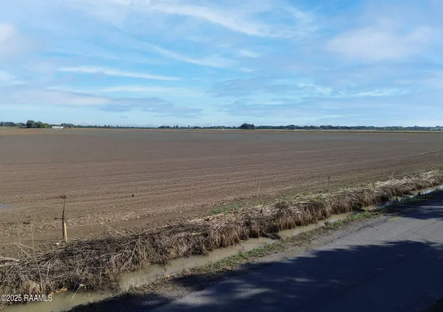 Photo 4 of Land for sale at Tbd Mark Twain Rd, Crowley, LA 70526 | MLS# 2600003862 | Listing updated on 2026-05-01