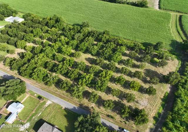 2nd image of 1132 Kidder Robin Rd, Arnaudville, LA 70512 | MLS# 2600007239