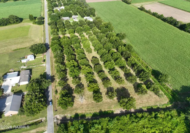 3rd image of 1132 Kidder-Robin Rd, Arnaudville, LA 70512 | MLS# 2600007239