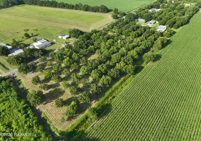 4th image of 1132 Kidder-Robin Rd, Arnaudville, LA 70512 | MLS# 2600007239