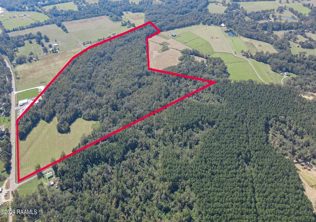 Photo 4 of Land for sale at 000 Prayer House Rd, Washington, LA 70589 | MLS# 24009159 | Listing updated on 2026-01-12