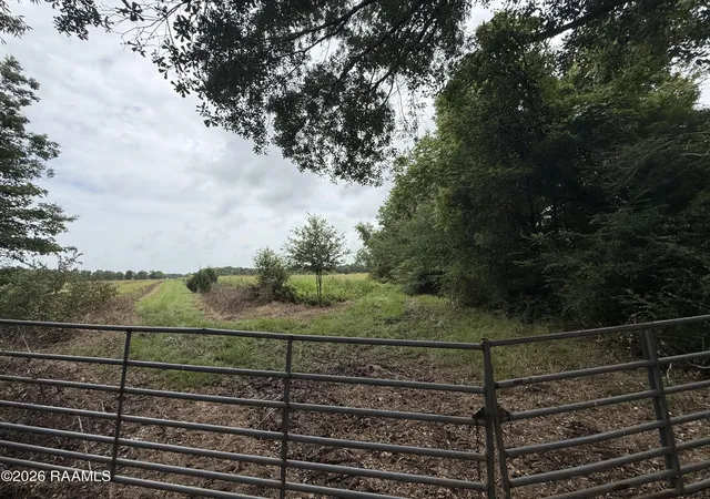 1st image of Tbd Apple Rd, Opelousas, LA 70570 | MLS# 2600006673
