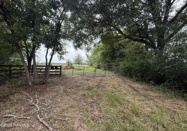 Photo 3 of Land for sale at Tbd Apple Rd, Opelousas, LA 70570 | MLS# 2600006673 | Listing updated on 2026-09-10