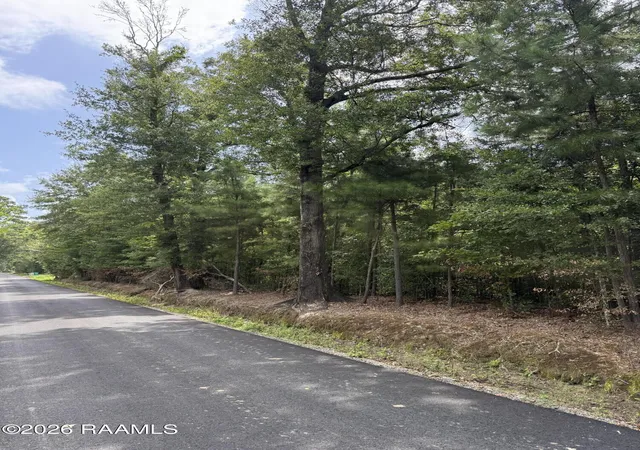 Photo 1 of Sale Pending at Tbd Stage Coach Rd, St. Landry, LA 71367 | MLS# 2600006843 | Listing updated on 2026-08-31