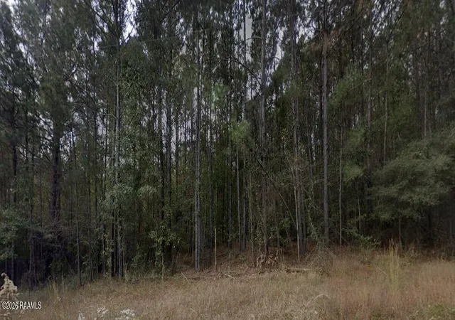 1st image of 0001 Soileau Dr, Many, LA 71449 | MLS# 2600004281