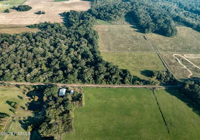 Photo 2 of Land for sale at Gardenia Rd, Washington, LA 70589 | MLS# 2500005182 | Listing updated on 2026-01-12