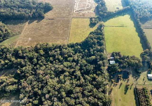 Photo 4 of House for sale at Gardenia Rd, Washington, LA 70589 | MLS# 2500005182 | Listing updated on 2026-01-12