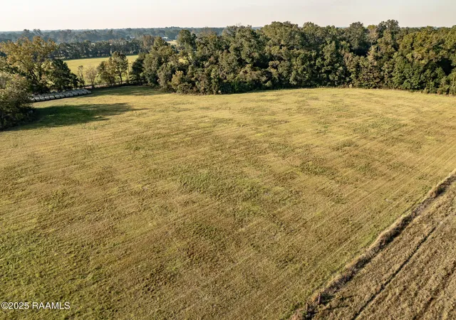 Photo 8 of Land for sale at Gardenia Rd, Washington, LA 70589 | MLS# 2500005182 | Listing updated on 2026-01-12