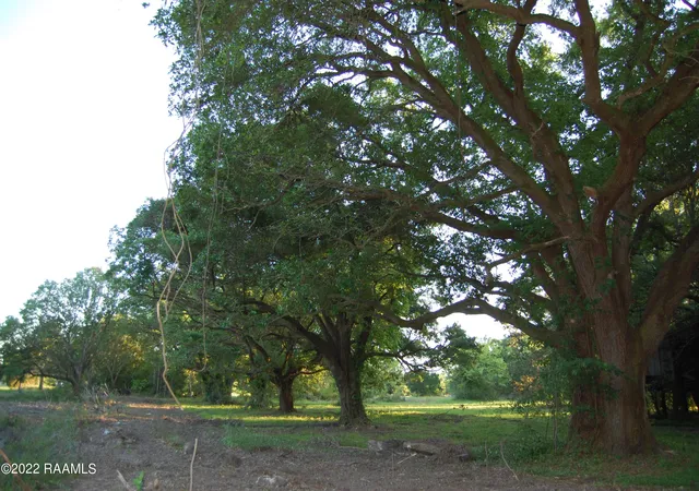 5th image of 226 Grand Manor Dr, Youngsville, LA 70592 | MLS# 23010621