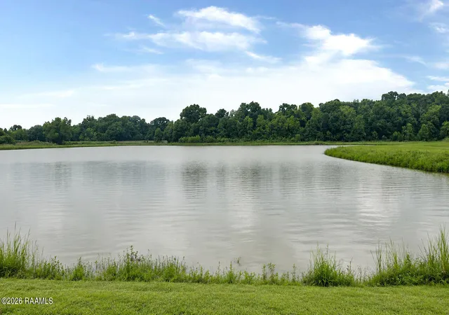 30th image of 107 Sugar Cane Palm Cir, Broussard, LA 70518 | MLS# 2600004547