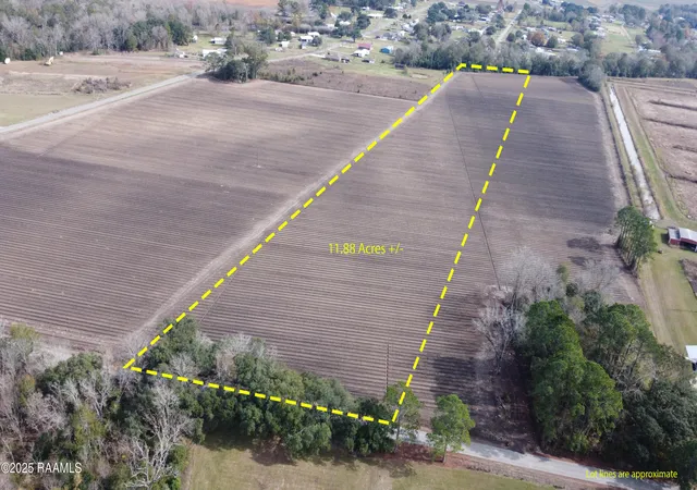 Photo 2 of Land for sale at Tbd Wilfred Champagne Rd, Saint Martinville, LA 70582 | MLS# 2500006361 | Listing updated on 2026-01-12