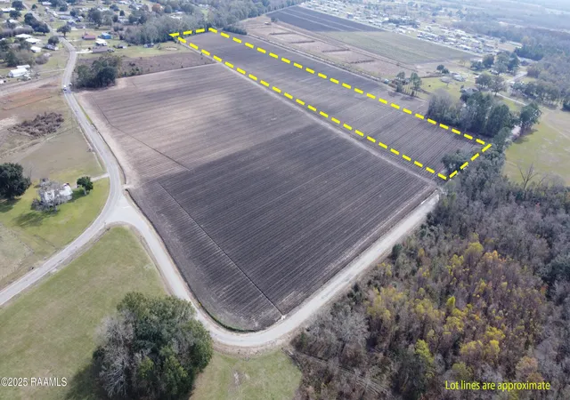Photo 3 of Land for sale at Tbd Wilfred Champagne Rd, Saint Martinville, LA 70582 | MLS# 2500006361 | Listing updated on 2026-01-12