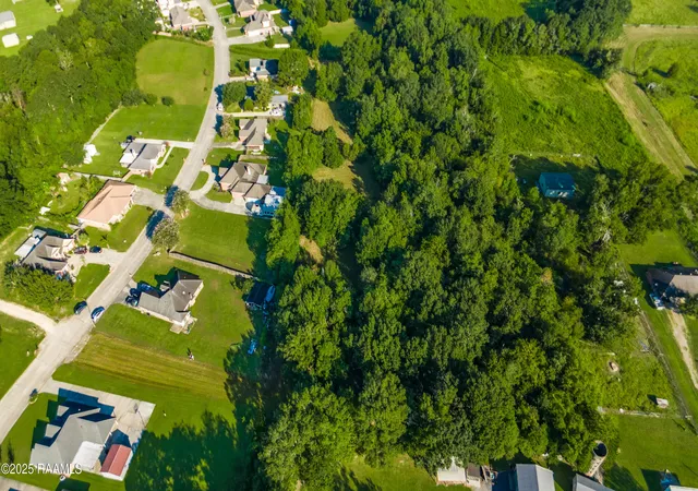 Photo 4 of Land for sale at Tbd Lake Tasse Dr, New Iberia, LA 70560 | MLS# 2500004374 | Listing updated on 2026-10-06