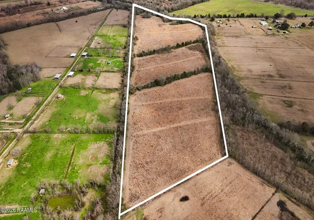 Photo 5 of Land for sale at Tbd Canal Rd, Opelousas, LA 70570 | MLS# 2600001106 | Listing updated on 2026-08-19