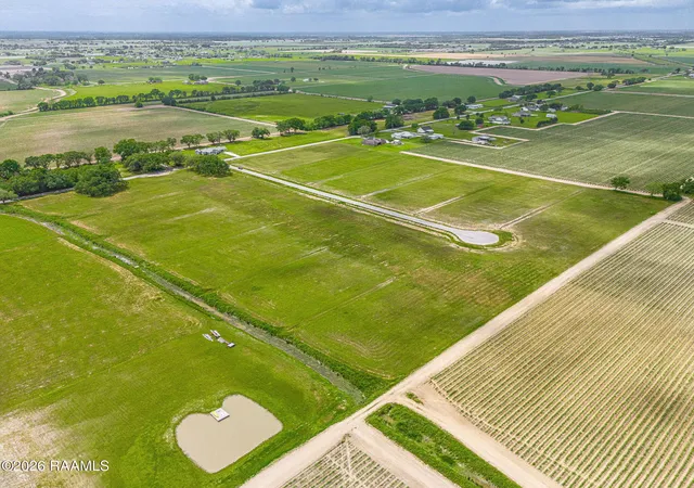 Photo 2 of Land for sale at 3906 Chemin Belle Terre, Maurice, LA 70555 | MLS# 2600002936 | Listing updated on 2026-08-24