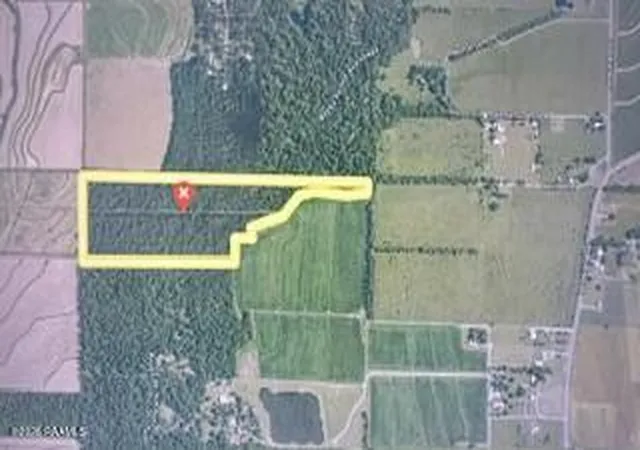 Homes for sale in Iota, LA | Tbd 37 Ac, Iota, LA 70543 | MLS# 2600003627