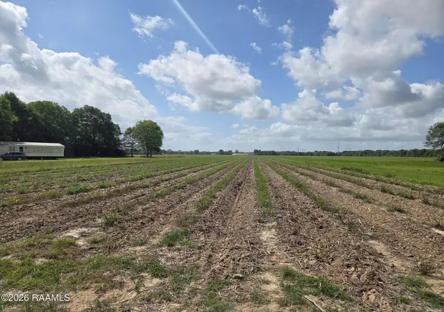 Photo 2 of Land for sale at 1000 Sidney Charles Rd, Opelousas, LA 70570 | MLS# 2600003746 | Listing updated on 2026-04-30