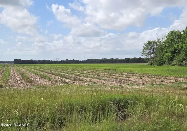 Photo 3 of Land for sale at 1000 Sidney Charles Rd, Opelousas, LA 70570 | MLS# 2600003746 | Listing updated on 2026-04-30