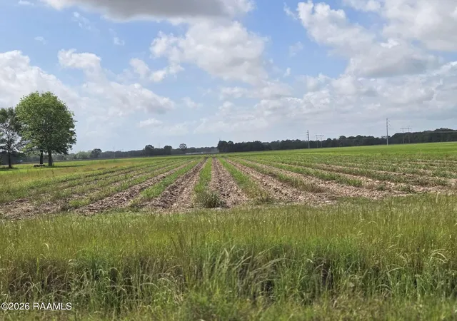 Photo 3 of House for sale at 1000 Sidney Charles Rd, Opelousas, LA 70570 | MLS# 2600003746 | Listing updated on 2026-04-30