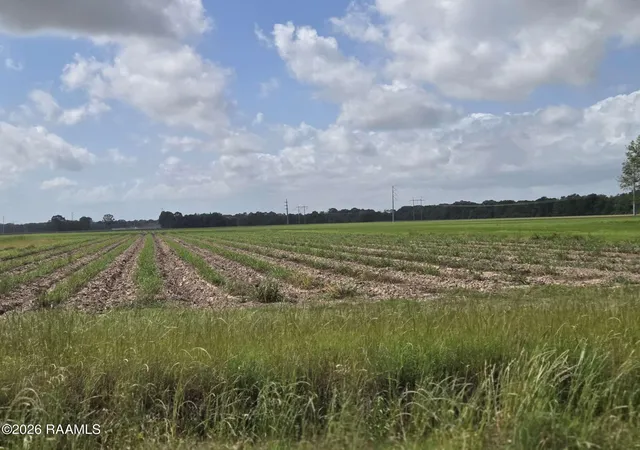 Photo 4 of House for sale at 1000 Sidney Charles Rd, Opelousas, LA 70570 | MLS# 2600003746 | Listing updated on 2026-04-30