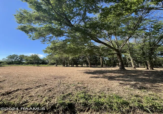 Photo 4 of Land for sale at 914 Oakcrest Dr, New Iberia, LA 70563 | MLS# 2600005142 | Listing updated on 2026-06-09