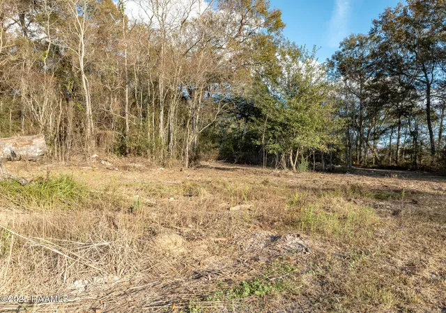 Homes for sale in Elton, LA | 133 Lavan St, Elton, LA 70532 | MLS# 2500006196