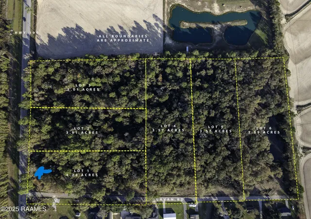 Homes for sale in Elton, LA | 133 Lavan St, Elton, LA 70532 | MLS# 2500006196