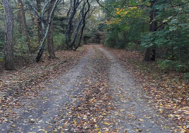 3rd image of 0 Ox Pasture Rd, East Sandwich, MA 02537 | MLS# 22402803