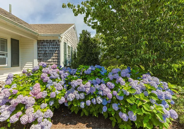 4th image of 78 Indian Trl, Chatham, MA 02633 | MLS# 22505704