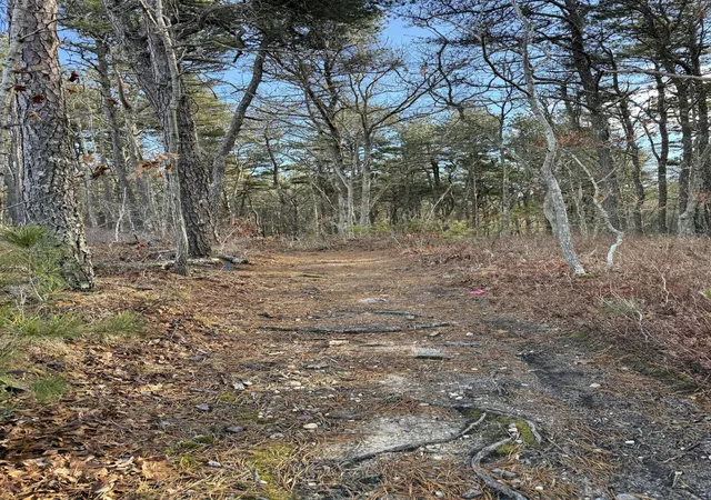 Homes for sale in Harwich, MA | 9 Bentley Rd, Harwich, MA 02645 | MLS# 22600109