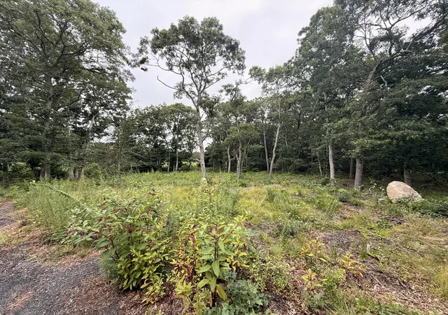 Photo 3 of Land for sale at 0 Old Chatham Rd Rd, Brewster, MA 02631 | MLS# 22600521 | Listing updated on 2026-09-09