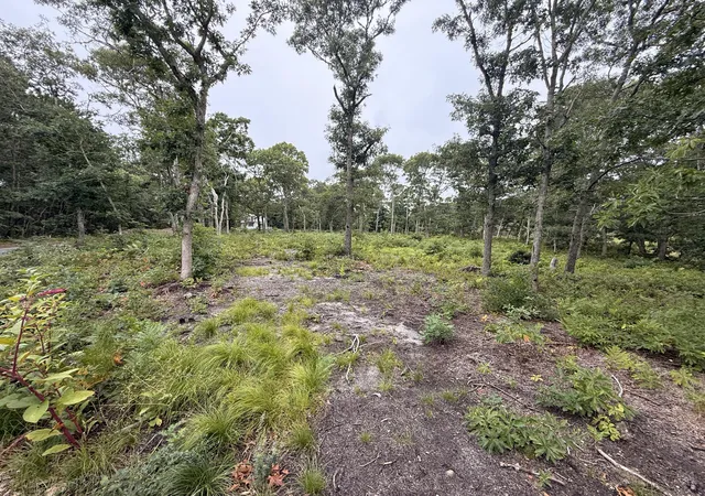 Photo 3 of Land for sale at 0 Old Chatham Rd Rd, Brewster, MA 02631 | MLS# 22600521 | Listing updated on 2026-09-09