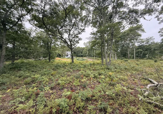 Photo 4 of Land for sale at 0 Old Chatham Rd Rd, Brewster, MA 02631 | MLS# 22600521 | Listing updated on 2026-09-09