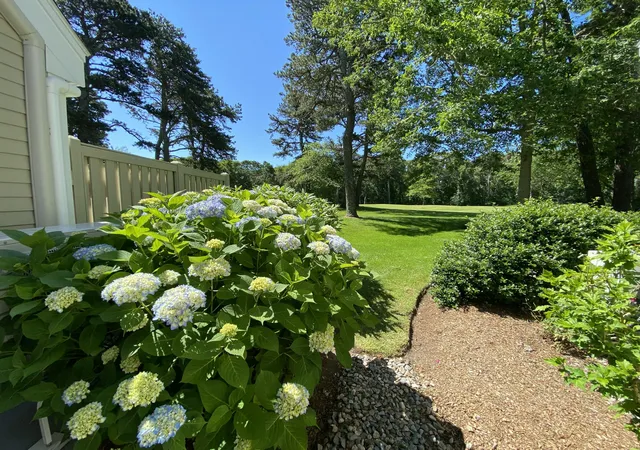 Homes for sale in Brewster, MA | 210 Billington Ln #UNIT 210, Brewster, MA 02631 | MLS# 22601150