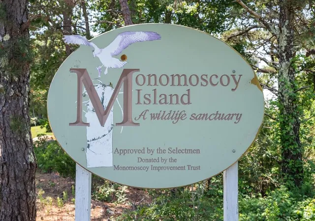 Homes for sale in Mashpee, MA | 183 Monomoscoy Rd, Mashpee, MA 02649 | MLS# 22601410