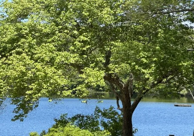 3rd image of 30 Crest Ave, Plymouth, MA 02360 | MLS# 22602629