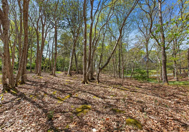 5th image of 0 Landing Dr, Brewster, MA 02631 | MLS# 22602351