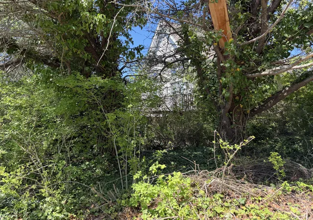 9th image of 17 Miller Hill Rd, Provincetown, MA 02657 | MLS# 22602659