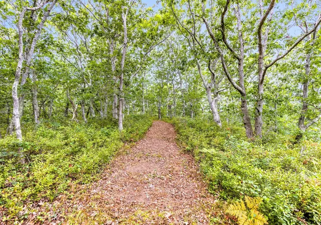 5th image of 35A Higgins Hollow Rd, Truro, MA 02666 | MLS# 22603174